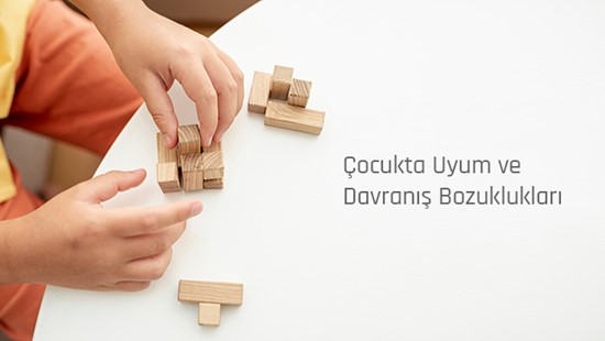 ÇOCUKTA UYUM VE DAVRANIŞ BOZUKLUKLARI